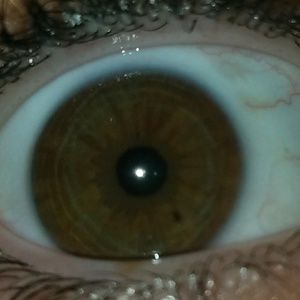 Meet your Posher, Frieda